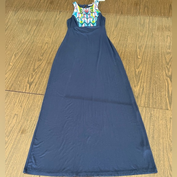 TART MAXI DRESS    (Size: S)    ***NWT*** Very Long--61.5" - Picture 7 of 8